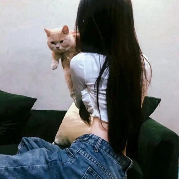 绝望主妇第四季
